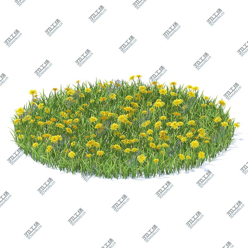 images/goods_img/202105071/3D Wild Plants 3D Models Collection FBX OBJ model/5.jpg